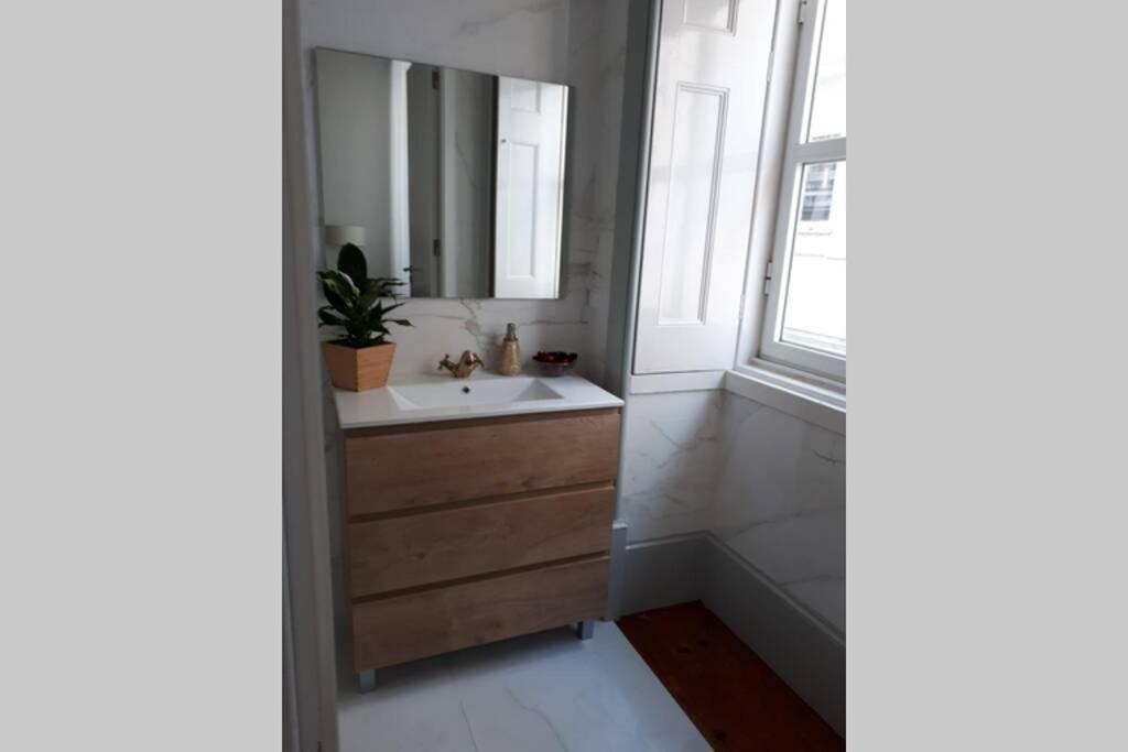 Ficus Aurea Leilighet Aveiro Eksteriør bilde